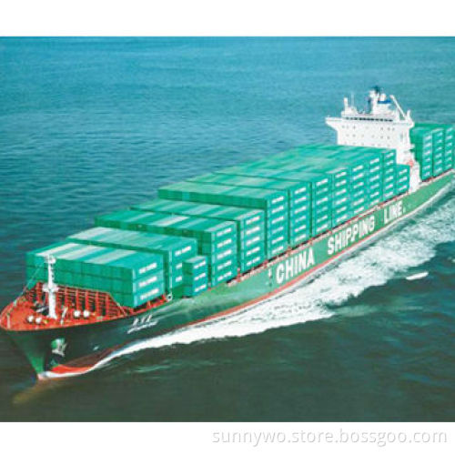 LCL Sea Freight Service from China to Paraguayan, Brazil